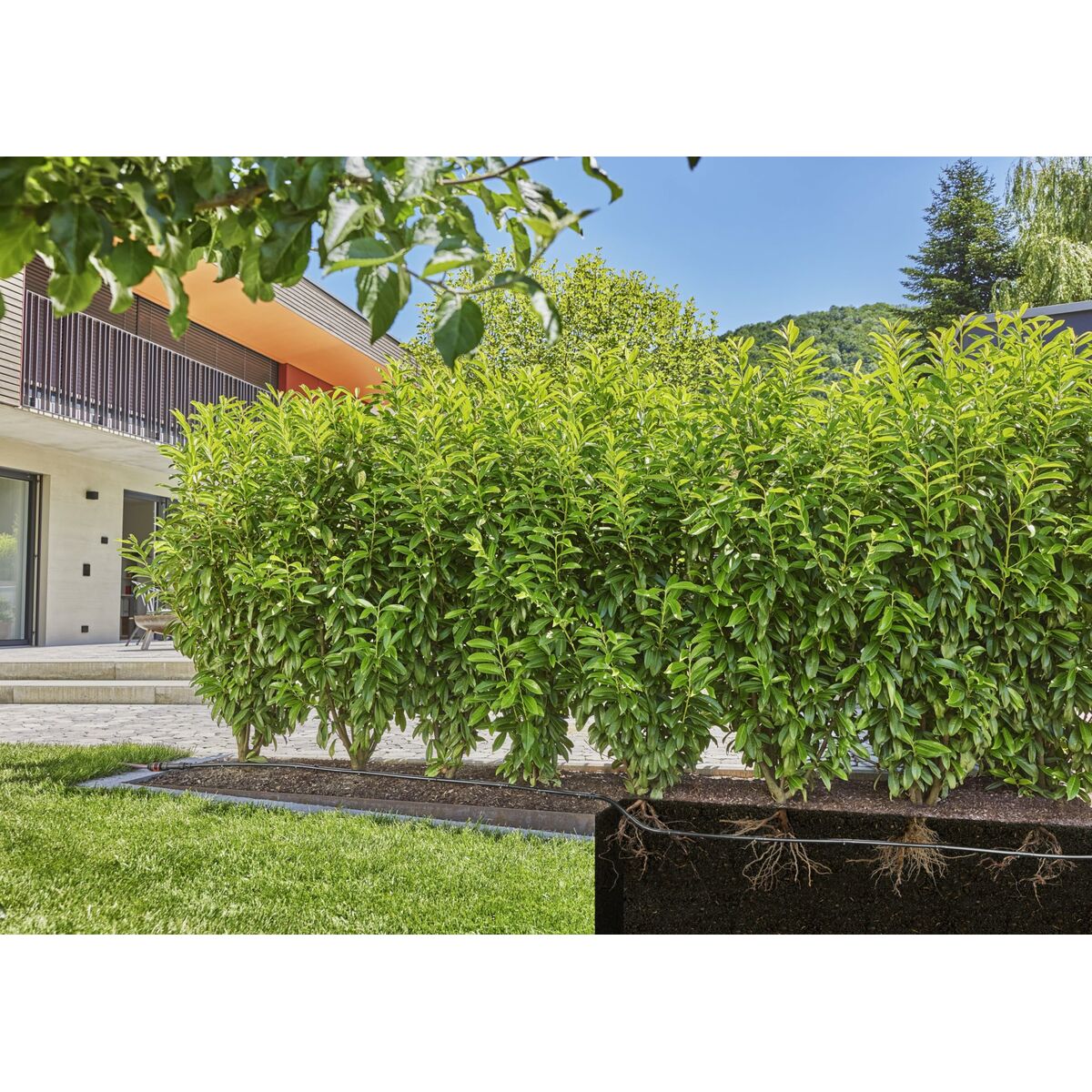 V6HCFC6B2A5B0D2E0D72A33A69905EDC96DR7162853P10