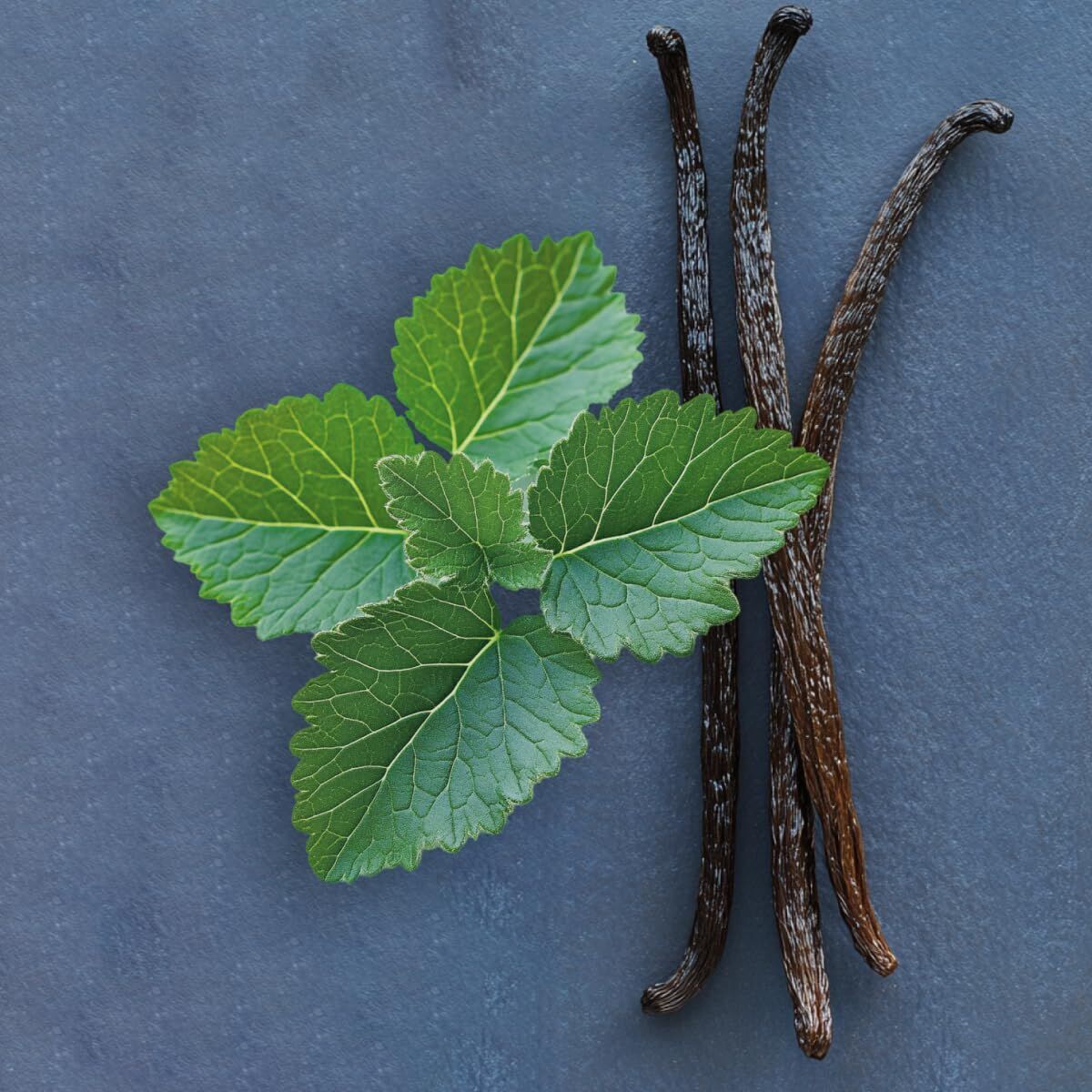 V4HA402E546EAA28395559BCC34333C22B2R7528116P5