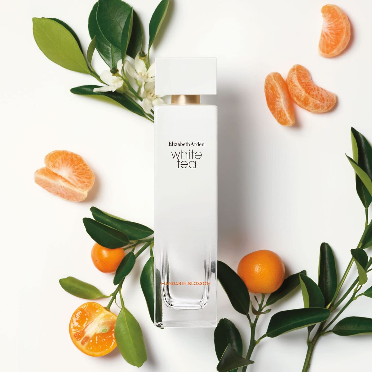 V2HD3A7DE262F3E1ABC6F9756457585BB62R7784374P2