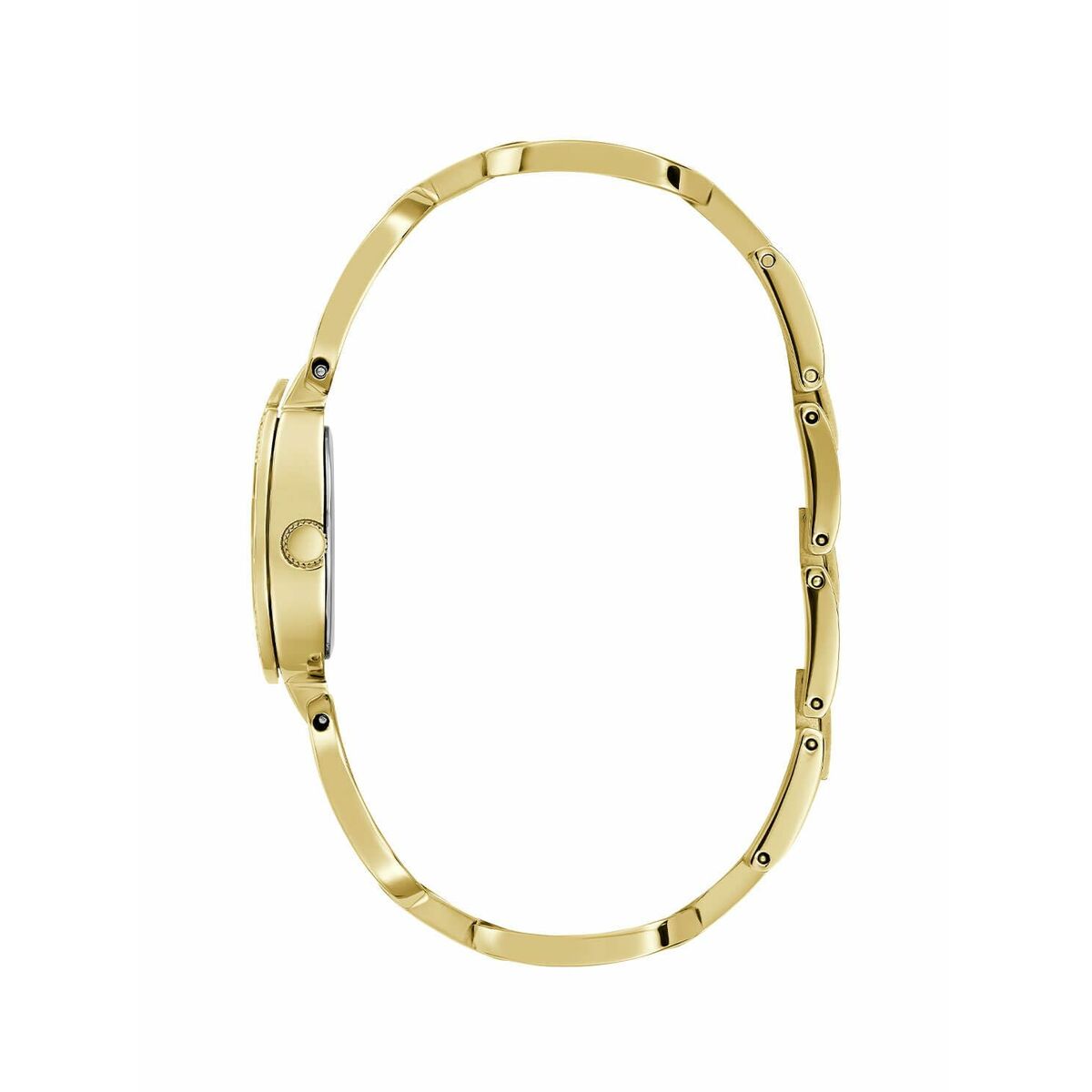 Guess Ladies' Watch Guess Gw0683L2