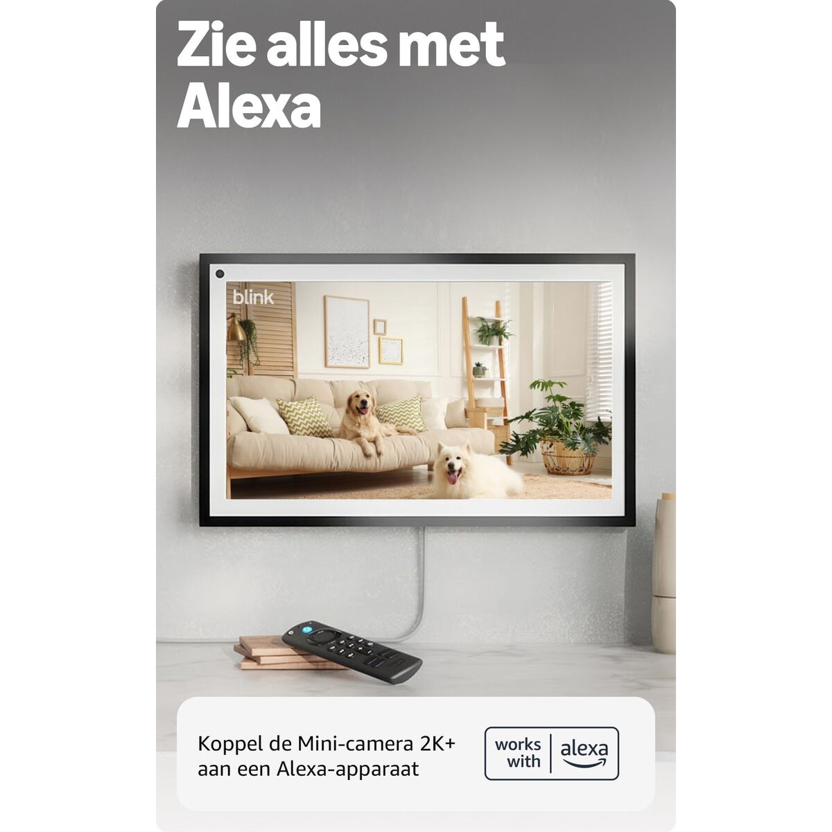 Blink Home Security Surveillance Camcorder Blink Home Security B0F39Z299V