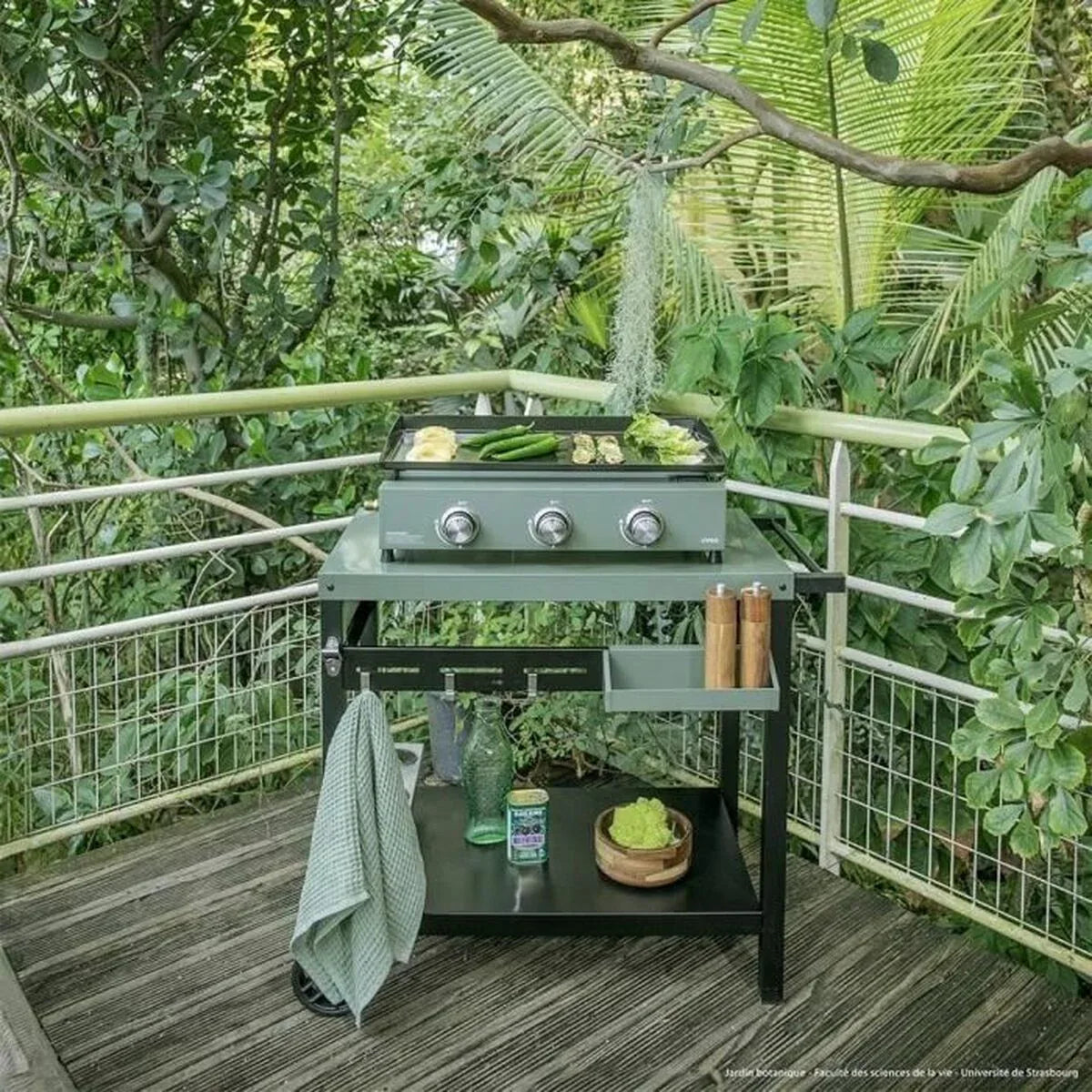 V4H0071D0A27028BD5BB54C925DA876251BR7471733P5