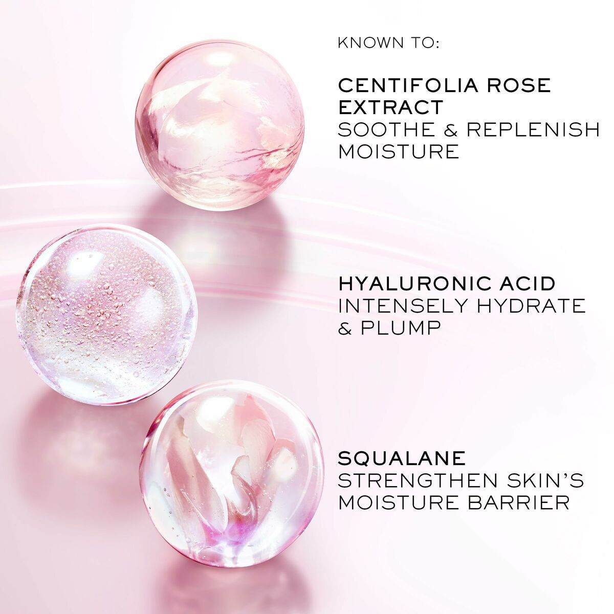 V2H0A166D7209F77B499B06E515E2B8066AR7815420P4