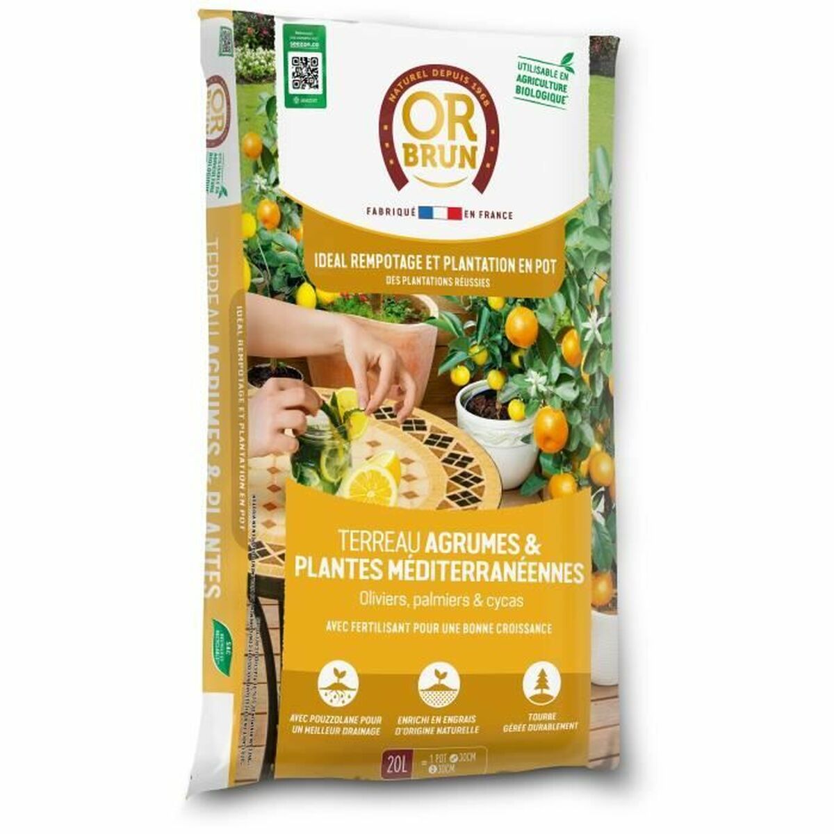 V6H45170D16771D5E2C7B657A967002058AR5179301P1