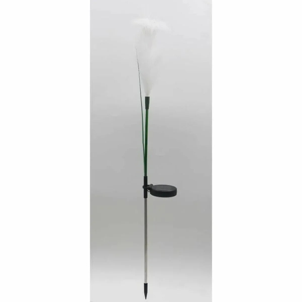 V6H081EDD81BB783B95196C55D68E3C01EBR5567694P2