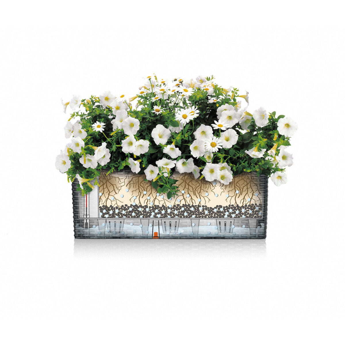 V6H5EEEA18967C7F21A33C1695E4C50967CR7249170P4