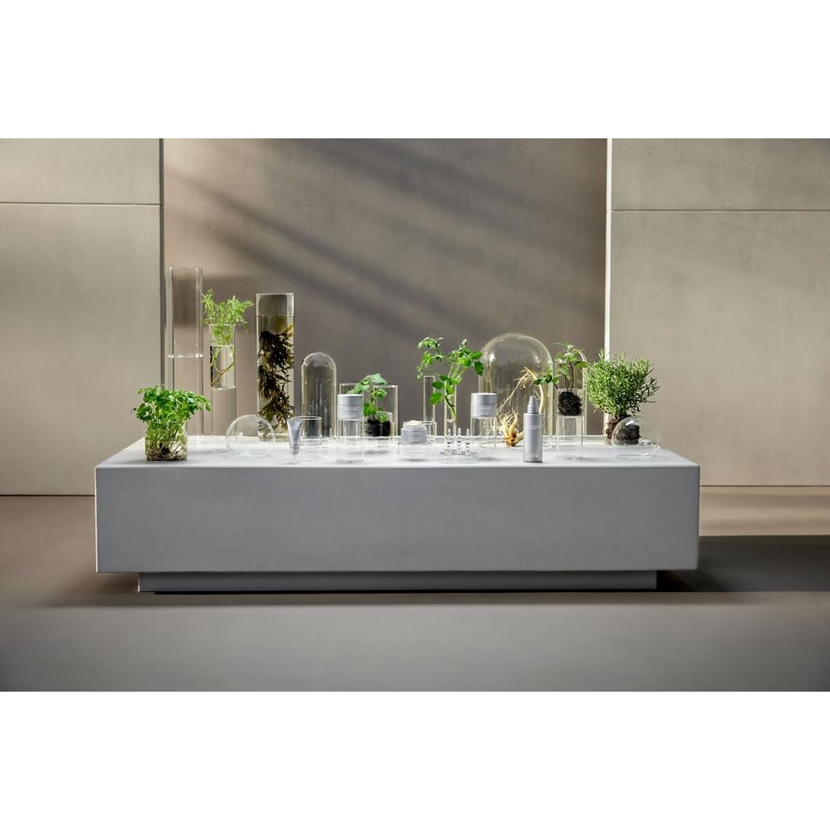 V4HAED810DBD1E42FCE90AF514E7C35B7ECR7415621P5