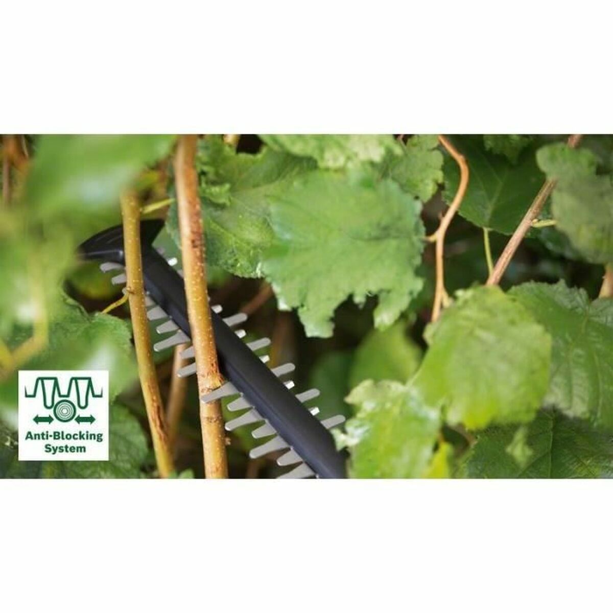 V6H37963A01E6A3F4EE5094BC5C0CCAB970R5109813P2