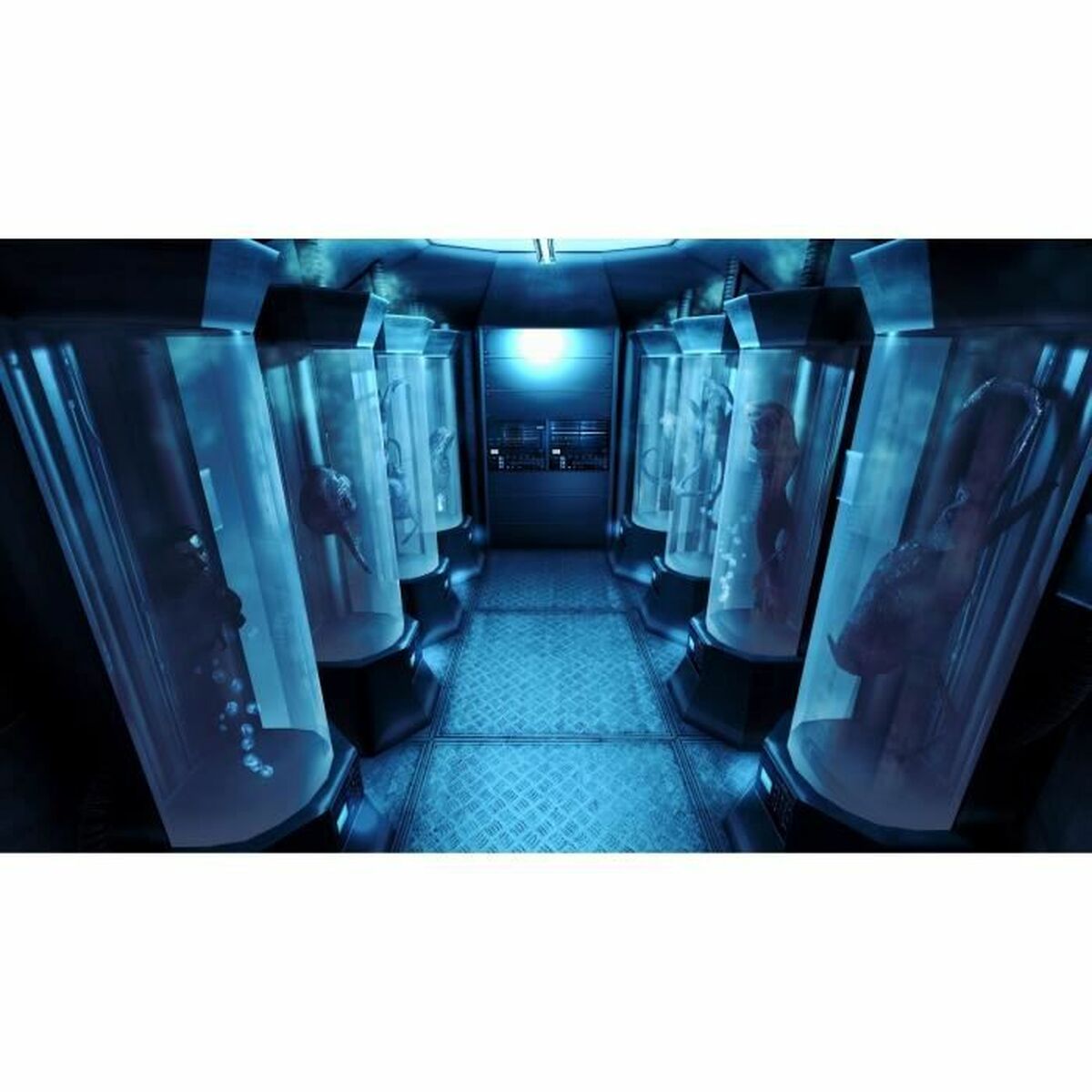 V5H567B76576101A305D46391A4CB6C790BR5997143P2