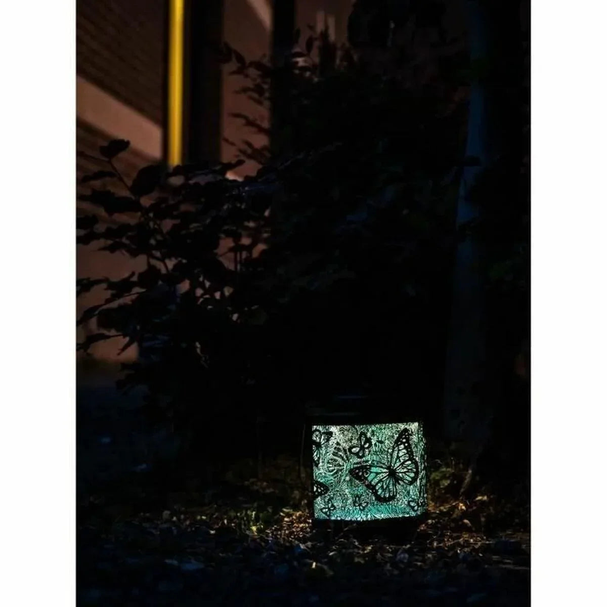 V6H56B6D43113E9648C0365E408D305A3BER5179400P2