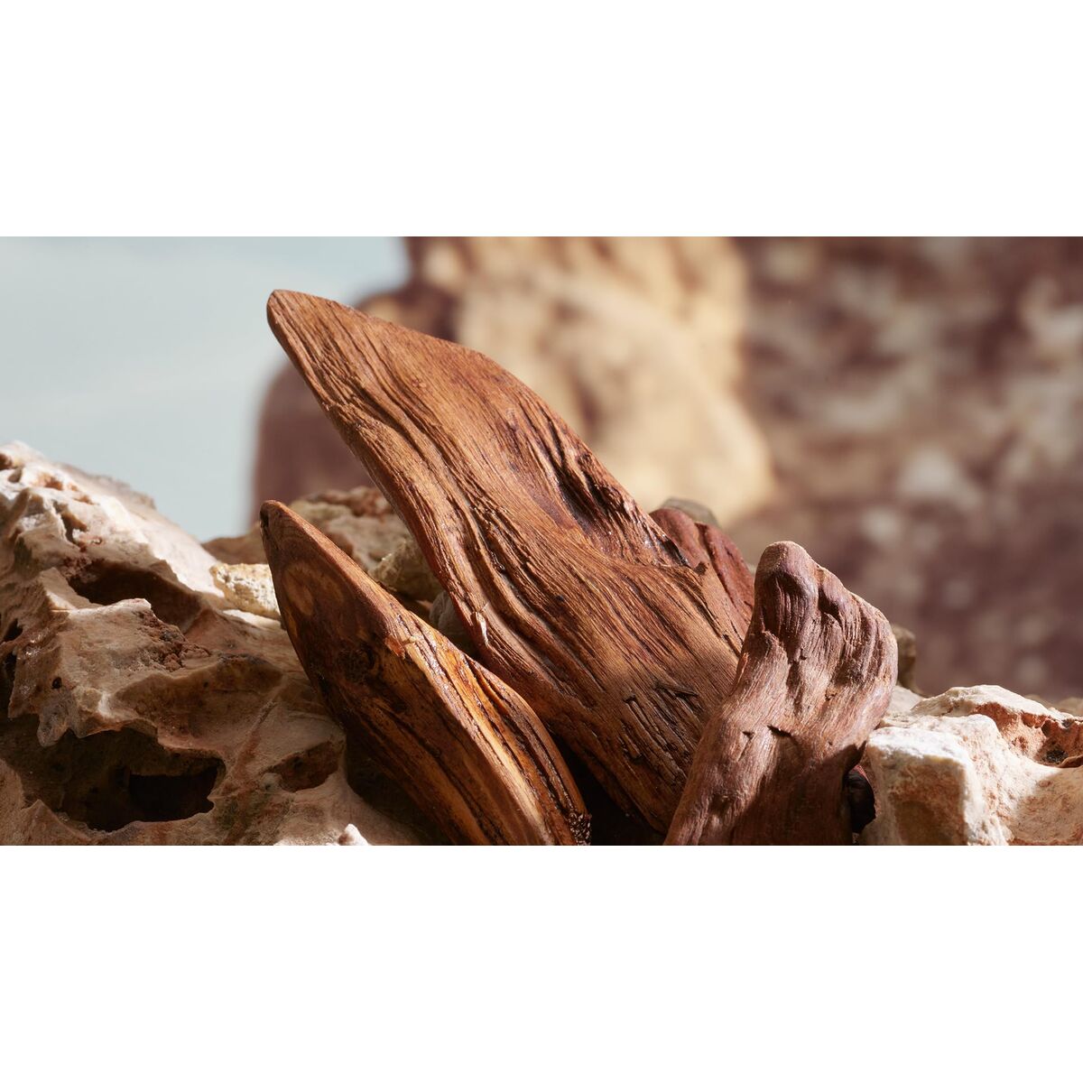 V2H31B37DB707E6DD4B4D94F89A144F350FR7786395P3