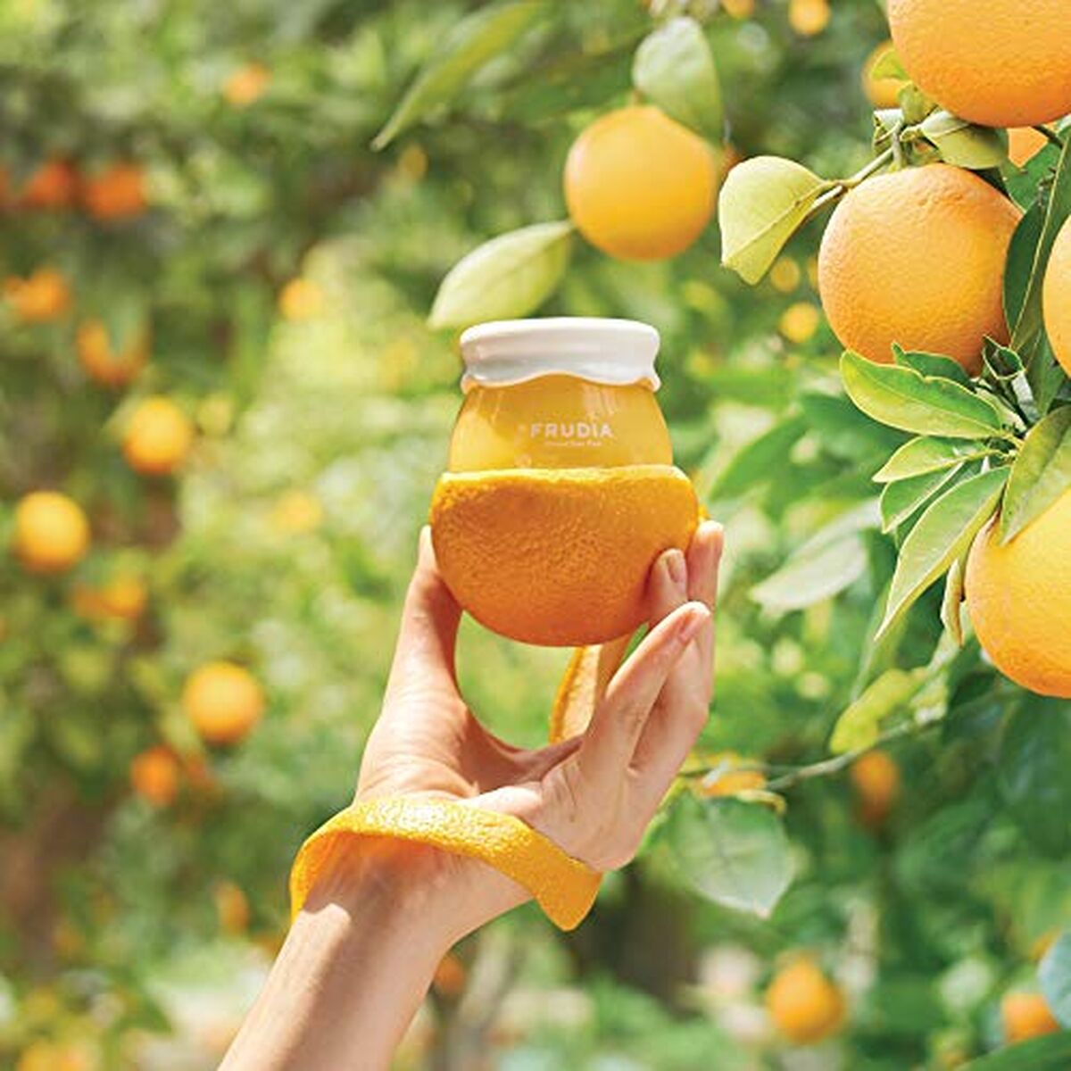 V2HD0EFBAE40735F3BDDCC63DBD133F79C4R7747029P5